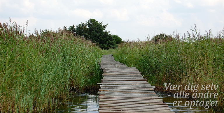 Bianca Sørensen – Parterapeut og sexolog i Viborg